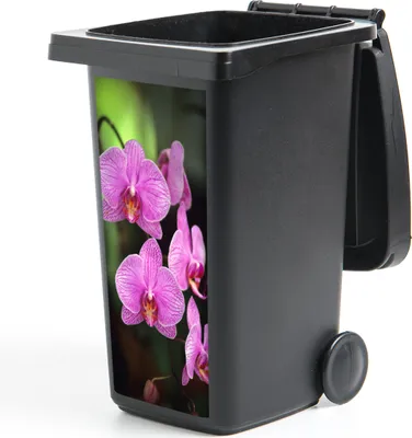 Produktbild von MuchoWow® Mülltonnenaufkleber Rosa Orchidee 38x80 cm - Behälteraufkleber - Mülleimer-Aufkleber - Container-Aufkleber