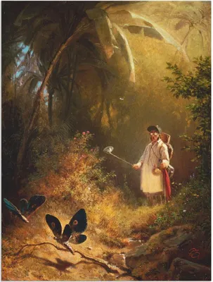 Produktbild von ARTland Wandbild Alu für Innen & Outdoor Der Schmetterlingsfänger Größe: 45x60 cm