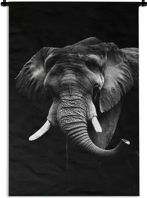 Produktbild von MuchoWow® Wandteppich Wandbehang Elefant vor schwarzem Hintergrund - schwarz und weiß 90x135 cm Tapisserie Dekoration Wandtuch - Baumwolle - Wandskulptur