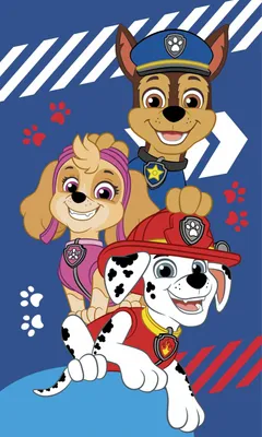 Obrázek produktu pro Jerry Fabrics Dětská osuška 30x50 Psi Patrol modrá dětská bavlna JF24
