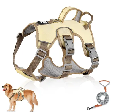 Image de Harnais multifonctionnel pour chien avec laisse pour petits chiens