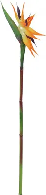 Obrázek produktu pro EUROPALMS Rajský pták květina, umělá rostlina, oranžová, 95cm