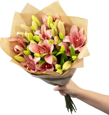 Produktbild von Blumenstrauß 'Lily Grace' - Größe M - Stiellänge ca. 50-60 cm - Strauß frischer Blumen