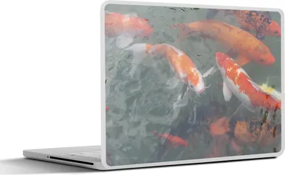 Produktbild von MuchoWow® Laptop Aufkleber Sticker Cover Mehrere Koi-Karpfen 30x22 cm - Laptop-Sticker