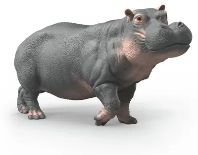 Immagine prodotto di Ippopotamo Schleich