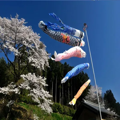 Obrázek produktu pro Bluelover 1 sada 5 japonských kaprů, vlajky, bannery, větrný rukáv, plachetník, koinobori, větrný streamer, vícebarevná ryba