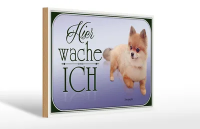 Produktbild von Holzschild Hund 30x20cm Zwergspitz hier wache ich