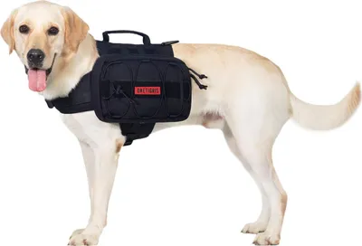 Produktbild von Hundenrucksack für Camping und Wandern - Mammoth 2.0 Version - Größe M/L - Schwarz Hundenrucksack