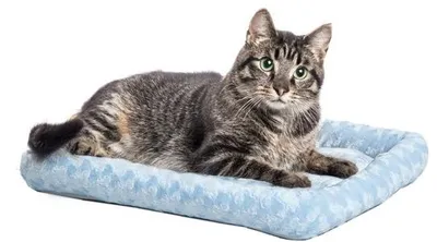 Obrázek produktu pro Malé psí lůžko 45 cm, modré, komfortní