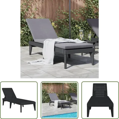 Immagine prodotto di The Living Store Lettino prendisole antracite 186x60x29 cm PP