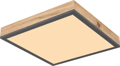 Immagine prodotto di Globo Lighting plafoniera alluminio grafite, LED