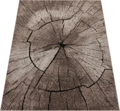 Produktbild von Edler Designer Teppich Wohnzimmer Holzstamm Baum Optik Natur Grau Braun Beige Grösse 120x170 cm