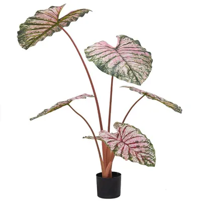 Zdjęcie produktu dla Sztuczna roślina Caladium 110 cm w doniczce, sztuczna roślina do salonu