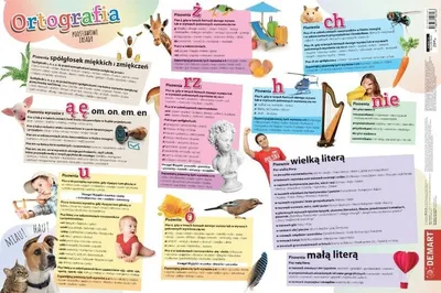 Productafbeelding van Basisprincipes van de spelling