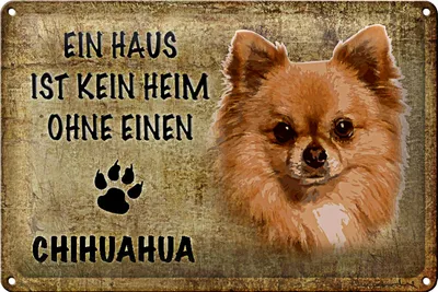 Produktbild von Blechschild Chihuahua 30x20cm Haus ist kein Heim ohne