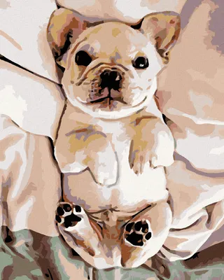 Produktbild von Diamondi - Diamond painting - KLEINES BULLDOGGE-WELPCHEN, 40X50 cm, ohne Keilrahmen