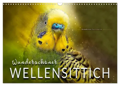 Produktbild von Wunderschöner Wellensittich (Wandkalender 2027 DIN A3 quer), CALVENDO Monatskalender