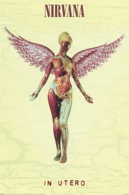 Immagine prodotto di Nirvana - In Utero - 61x91,5 cm - Poster