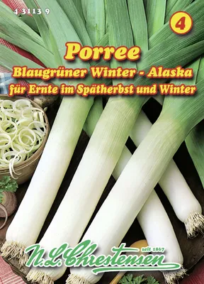 Produktbild von Porree Blaugrüner Winter - Alaska | Lauchsamen von N.L. Chrestensen