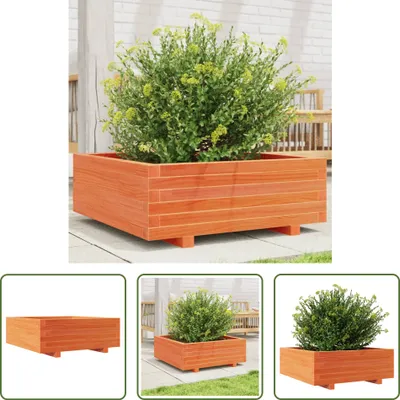 Produktbild von The Living Store Pflanzkübel Wachsbraun 70x70x26,5 cm Massivholz Kiefer