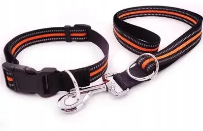 Produktbild von Robuste Hundeleine mit Halsband, reflektierend, 1,2 m, orange, Größe M