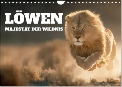 Produktbild von Löwen - Majestät der Wildnis (Wandkalender 2027 DIN A4 quer), CALVENDO Monatskalender