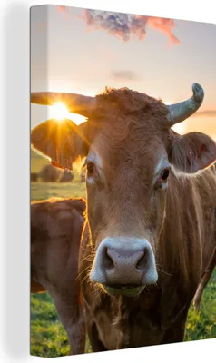 Produktbild von MuchoWow® - Leinwandbilder - Kühe - Sonne - Wiese - Landleben, Wandbild, Wanddeko Bilder Wohnzimmer, 80x120 cm