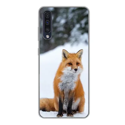 Produktbild von MuchoWow® Handyhülle Schutzhülle Hülle für Samsung Galaxy A50 Fuchs - Schnee - Wald Silikon Softcase Handy Hülle - Mobiltelefonhülle