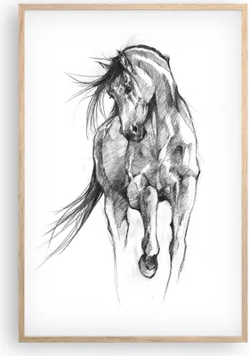 Produktbild von Gerahmtes Poster - Rahmen in heller Eiche - Pferd Galopp Tier - 61x91,5 cm - Wand Bild - Wanddeko - Wandbilder - Kunstposter - Wandposter - Bilderrahmen - Bilder - Kunstdruck - P2NPA61x91-5080