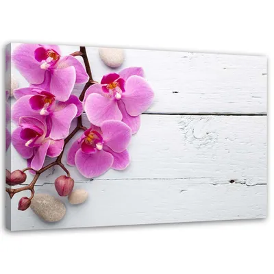 Produktbild von Leinwandbild rosa orchidee und knospen 90x60 cm Feeby rosa wandbild bereit zum aufhängen