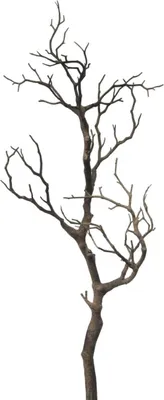 Produktbild von Dekoast, künstlicher Zweig L. 69cm natur braun GASPER