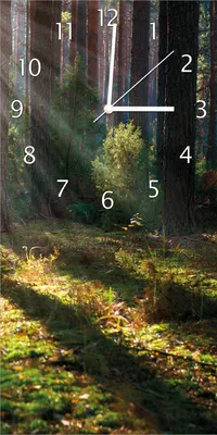 Produktbild von Wallario Design Wanduhr Sonnenstrahlen im Herbstwald aus Echtglas, Größe 30 x 60 cm