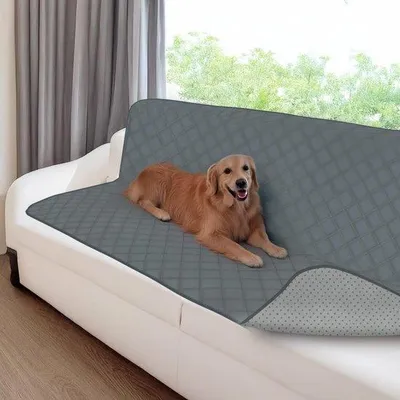 Image de Couverture imperméable pour chien avec dessous antidérapant, 208 x 132 cm, grise, lavable