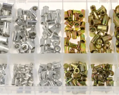 A clear, top-down view of a plastic organizer box filled with various sizes of metal rivets.