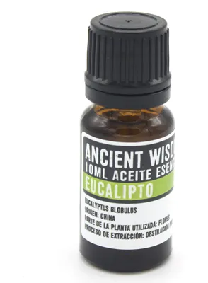 Produktbild von Eukalyptus - Ätherisches Öl 10 ml