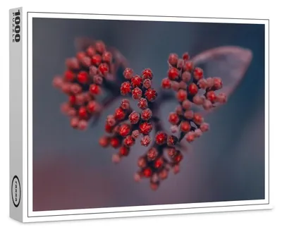Produktbild von raxxa Premium-Puzzle "Holunderliebe", 1000 Teile