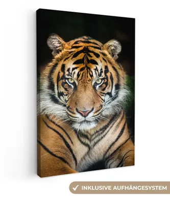 Produktbild von MuchoWow® - Leinwandbilder - Tiger - Schwarz, Wandbild, Wanddeko Bilder Wohnzimmer, 80x120cm