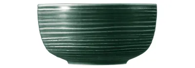 Produktbild von Seltmann Weiden Terra Moosgrün Foodbowls 17,5 cm