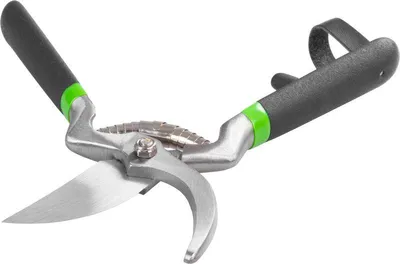 Image de Sécateur Strend Pro M0070 220 mm, de jardin, pour branches et raisins, pour viticulteurs