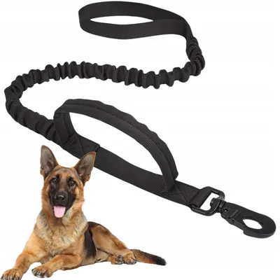Produktbild von TACTICAL Hundeleine mit Schockabsorber und dehnbarem Griff 140cm