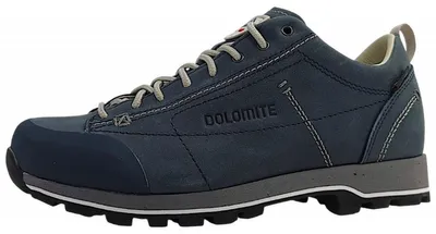 Produktbild von Dolomite 54 Low Fg Evo GTX Wanderschuh Grau in Gr. 38.5