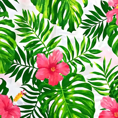 Produktbild von Baumwolle 100% Hibiskusblumen rosa mit grünen Blättern auf weißem Hintergrund