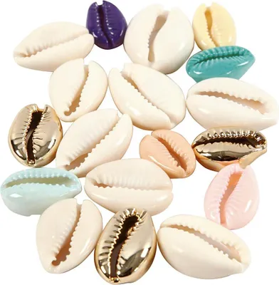 Image de Perles de coquillages