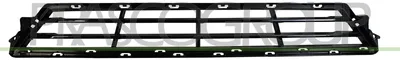 Immagine prodotto di Griglia di ventilazione PRASCO per paraurti anteriore BMW X3 (G01, F97) - Nero