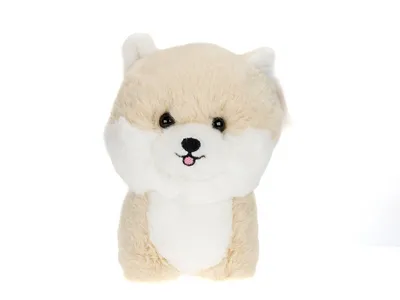 Image de tEDDY PETS Mascotte de POMERANIE