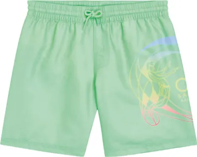 Productafbeelding van O'Neill - Zwemshorts voor jongens, model PP14540 (maat 140) (groen)