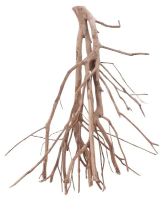 Produktbild von Talawa Aquarium Wurzel XL 55x19x63cm Holz, sinkend, gradlinig verzweigt, für Aquascaping