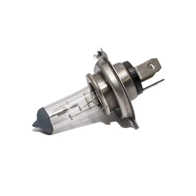 Image de RMS Ampoule halogène 12V 60W / 55W H4 P43T Ampoule, avec homologation