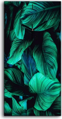 Produktbild von Leinwand Uhr Küche Wohnzimmer Bild 30x60 Gemälde Blüten Blätter Pflanze - schwarze Hände