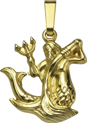 Produktbild von F Anhänger Sternzeichen Wassermann 333/- Gold 2,0cm gelb 371340627-011